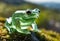 An AI illustration of a green glass frog is sitting on a moss covered rock