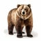 An AI illustration of a grizzly bear standing in front of a white background