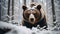 AI illustration of a majestic brown bear standing in an icy winter forest.