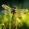 AI illustration of a vibrant dragonfly perched atop a lush green blade of grass.