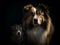 Ai Image Generative Photography lovely dog and puppy.