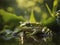 AI Images - Frog Wildlife Photography