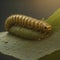 AI photo of a yellow caterpillar on a leaf.