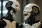 ai robots giggling and laughing,superiority over people