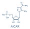 AICA ribonucleotide AICAR performance enhancing drug molecule. Used as doping agent. Skeletal formula.