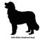 Aidi Atlas shepherd dogof different breeds, vector set of silhouettes