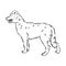 aidi dog, vector sketch outline pencil drawing artwork, black character on white background