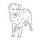 aidi dog, vector sketch outline pencil drawing artwork, black character on white background