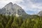 Aigues tortes national park forest landscape. Sant Maurici