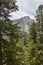 Aigues tortes national park forest landscape. Sant Maurici lake. Lleida