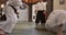 Aikido, sensei and fight with students in martial arts with black belt in self defence, discipline and training