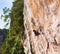 Aim for greater heights. a young rock climber scaling a cliff face.