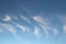 Air,aircraft,area,atmosphere,atmospCirrus clouds on a clear blue sky. Weather forecast. Water in a gahere earth,background,beautif