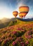 Air ballon above mountains at the summer time.