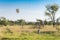 Air balloon above the savannah