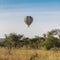 Air balloon above the savannah