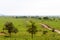 Air balloons in Serengeti National Park