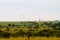 Air balloons in Serengeti National Park