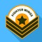 Air fighter wings logo, flat style