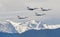 Air Force Thunderbirds Fly over Snow Capped Rocky