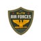 Air forces icon, eagle, wings and arrows on shield