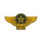 Air forces patch icon of wings, shield and star