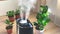 An air humidifier spreading steam into a living space with indoor plants, creating a cozy atmosphere