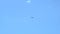 Air jet ukraine plane blue fighter sukhoi force flanker fly, for airplane flight for engine and power transportation