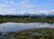 Air park Lagoon Breach-Restoring Habitat, Courtenay , BC