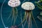 Air Plant Tillandsia and sea urchin combination jellyfish decoration
