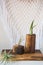 Air plants in retro vases with macrame backdrop