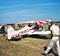 Air show in a small Kansas town . Taken on September 2 , 1967
