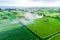 Air view of green fields green rice and corn fields in Amed, Bali, Indonesia