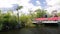 Airboat navigating in the Everglades Swamps, slow motion