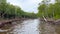 Airboat Ride in the Everglades leading through a Mangrove Forest