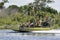 Airboat ride tour of St.John River in Florida, USA