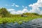 Airboat tour in Eveglades national park, Florida, USA