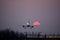 Airbus 320 silhouette on sunset landing on airport closeup