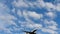 Airbus A320 of Lufthansa approaching against blue sky