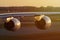 Airbus A380 aircraft, close-up view of engines and wing