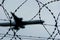 Aircraft and barbed wire