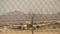 Aircraft departure on McCarran airport Las Vegas - LAS VEGAS