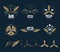 Aircraft design vector elements and logos