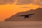 Aircraft on the orange sky with dark clouds. Airplane in the wil nature. Forest hill near the ocean water. Air travelling in Costa