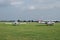 Aircrafts on a grass airfield
