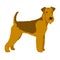 Airedale dog vector style Flat