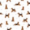 Airedale terrier all colours seamless pattern. Different coat colors set