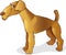 Airedale terrier dog