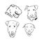 airedale terrier dog simple vector sketch illustration on a white background