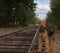 Airedale terrier dog stands beside rail road track